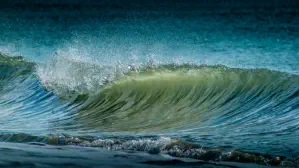Die Welle