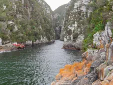 Südafrika 1