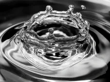 Königin Wasser