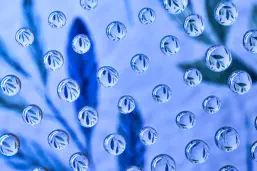 Drops