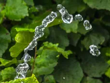 Wassertropfen im Flug