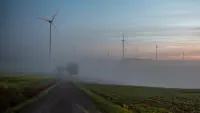 auf der Platte