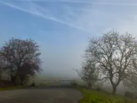Nebelschranke