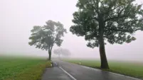 Weg ins Ungewisse